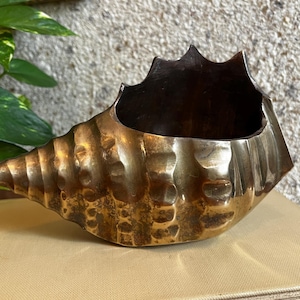 May include: A brass seashell-shaped bowl with a textured surface. The bowl has a dark interior and a pointed end. The exterior has a hammered appearance, and the bowl sits on a beige surface. The background includes green foliage and a textured wall.