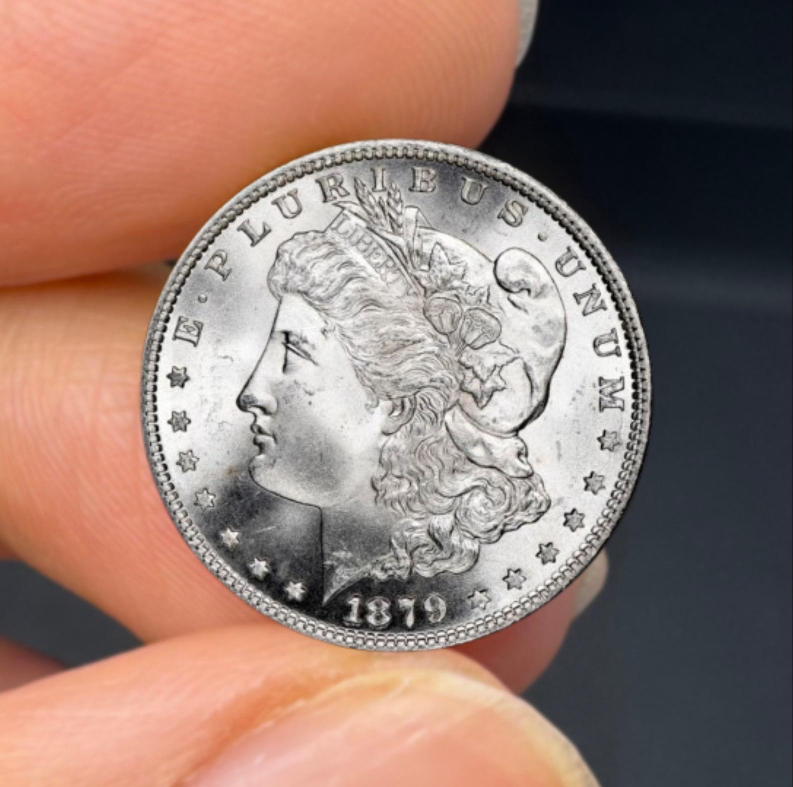 1879 morgan dollar - Etsy 日本