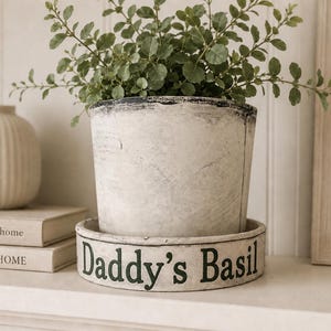 May include: A cylindrical off-white plant pot with a distressed finish and a matching saucer. The saucer features the black text 'Daddy's Basil' printed along the front. A green leafy plant is potted inside the container, which sits on a surface.