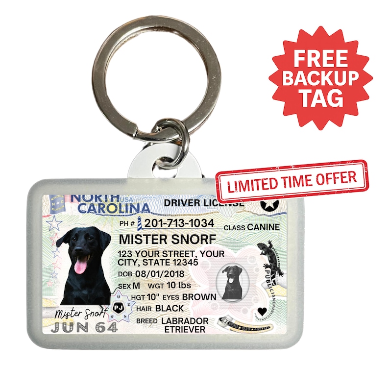 Puede incluir: Un llavero de pl&aacute;stico transparente con un dise&ntilde;o de carnet de conducir para perros. La licencia muestra un labrador negro, llamado "Mister Snorf", y otros detalles. El llavero tiene un anillo de metal plateado y una pegatina roja "FREE BACKUP TAG".