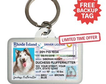 Etiqueta de identificación de mascota personalizada para licencia de conducir de Rhode Island: etiqueta personalizada para perros y gatos