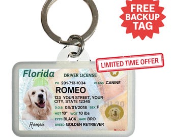 Etiqueta de identificación personalizada para mascotas de Florida: etiqueta personalizada para perros y gatos