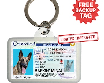 Custom Connecticut Driver License Pet ID Tag: Personalized Dog & Cat Tag