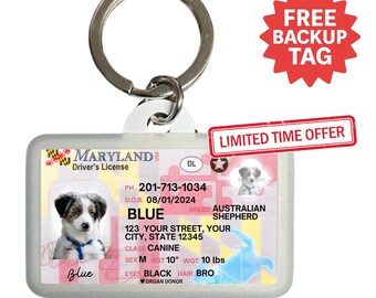 Etiqueta de identificación personalizada para mascotas de Maryland: etiqueta personalizada para perros y gatos