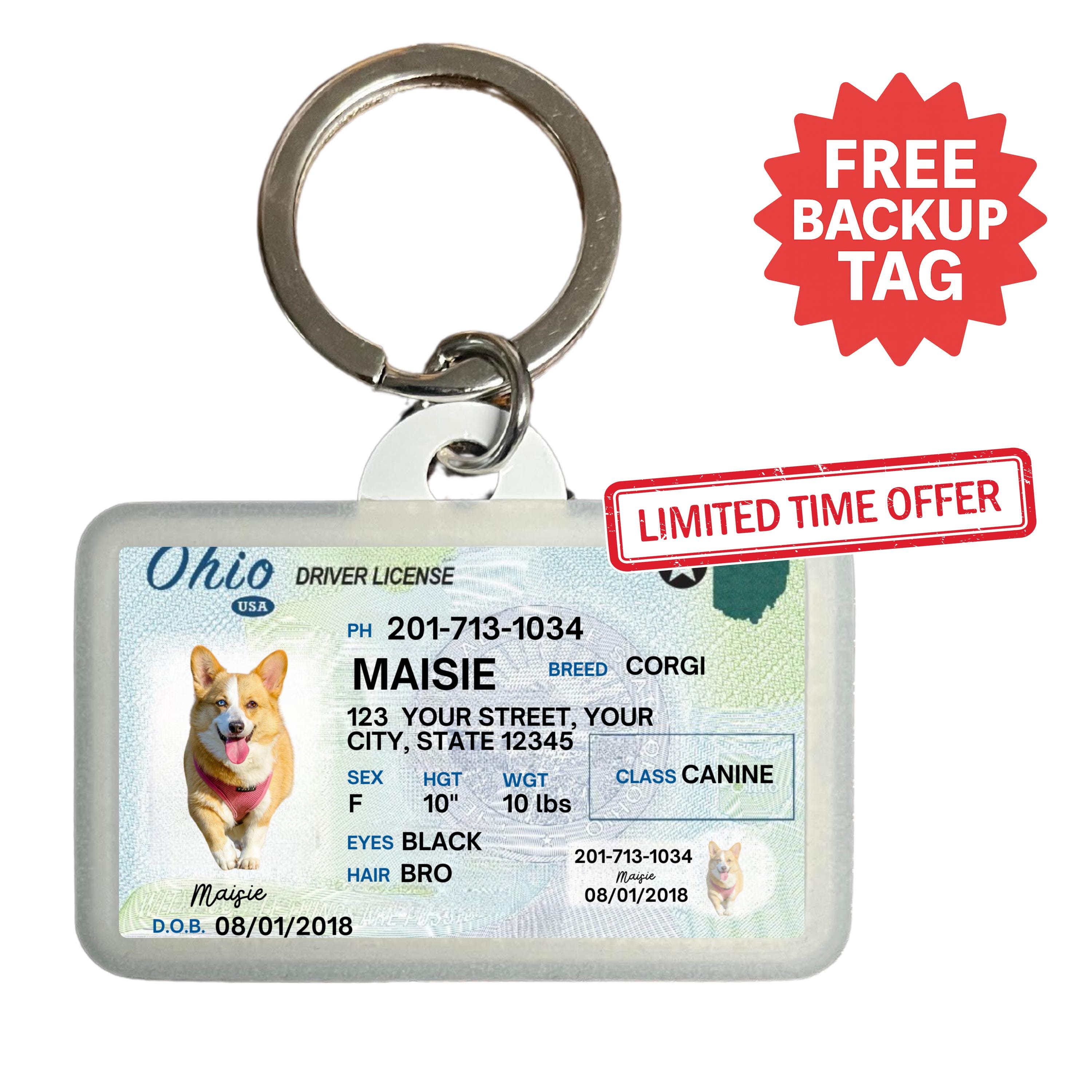 ohio dog id tags driver's license