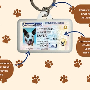Puede incluir: Una placa de identificaci&oacute;n para perros con forma de licencia de conducir de Pensilvania, con una foto de un perro llamado Layla. La placa es de aluminio y resistente a los ara&ntilde;azos. Incluye un silenciador de silicona y un llavero.