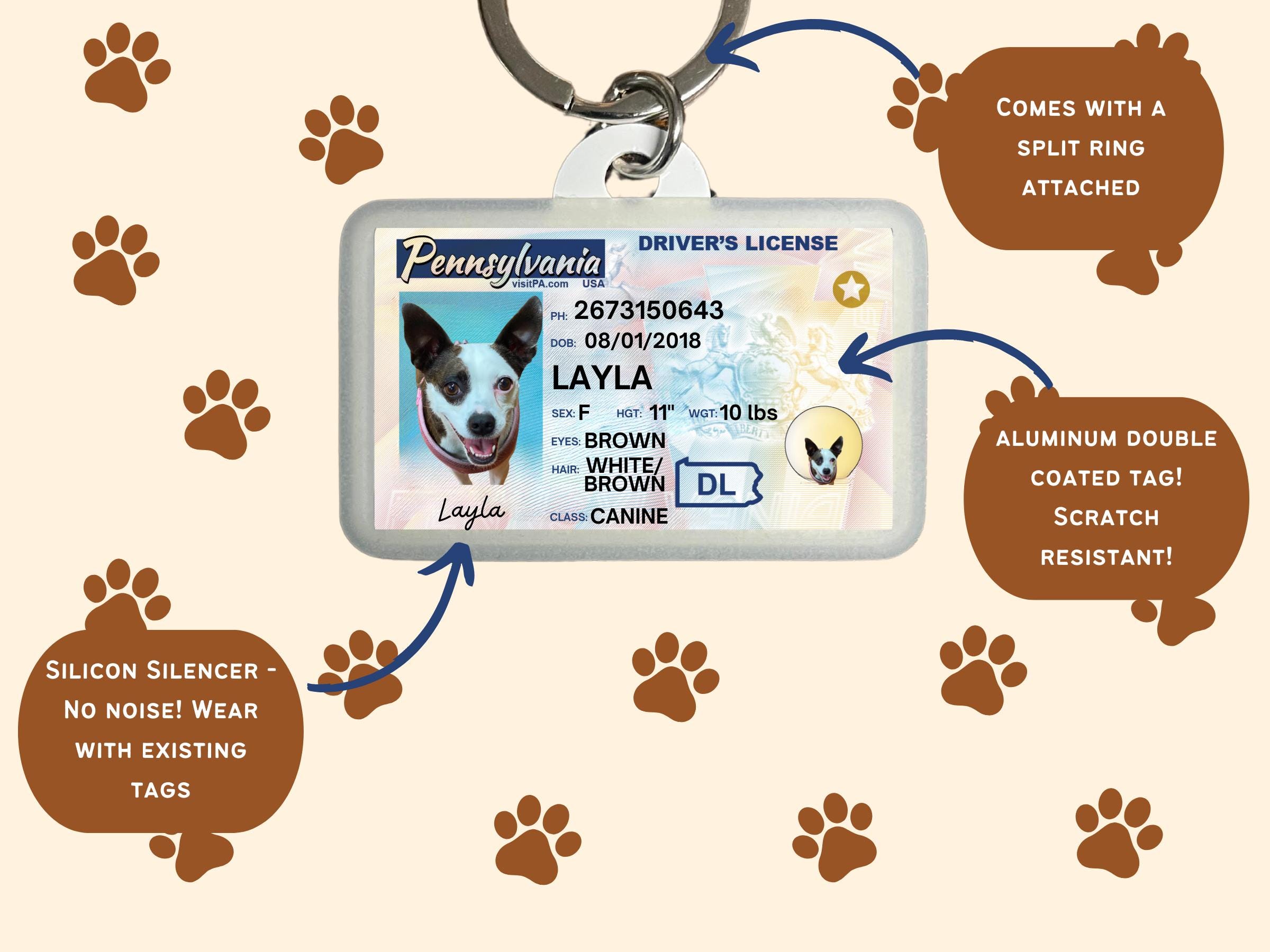 Driver's Licence Dmv Dog Tags Pet Dmv Doggie Driver's