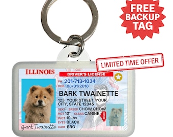 Custom Illinois Driver License Pet ID Tag: Personalized Dog & Cat Tag