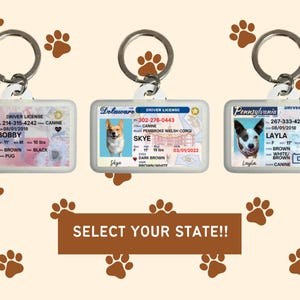 Puede incluir: Llaveros con dise&ntilde;os de carnet de conducir con tem&aacute;tica de perros. Cada llavero muestra la foto, el nombre y los detalles de un perro, como la raza, la altura y el peso (4,5 kg). El texto "SELECT YOUR STATE!!" tambi&eacute;n es visible.