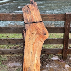 Live Edge Spalted Maple Slab – 58"x21"x2"