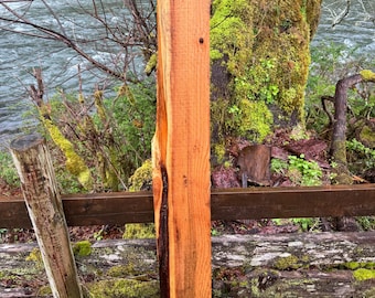 Western Red Cedar- 62" x 9" x 2"