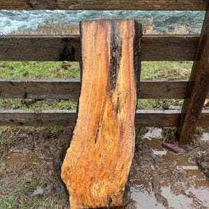 Live Edge Spalted Maple Slab – 39"x18"x2.5"