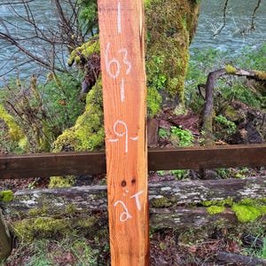 Western Red Cedar- 63&quot; x 9&quot; x 2&quot;