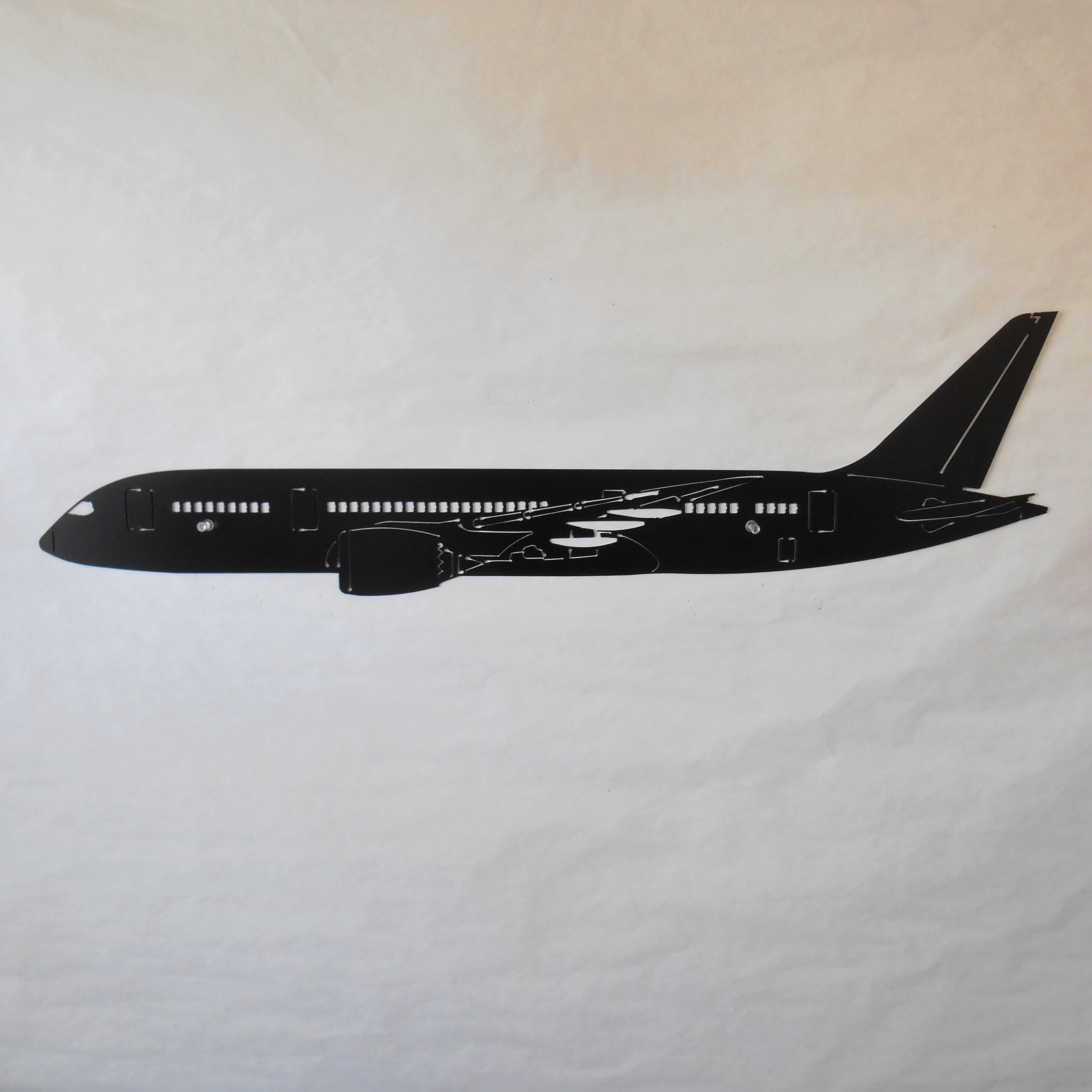 787 Jet Plane