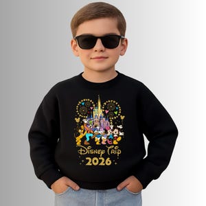 Disney Vacation Family Vacation 2026 Matching Sweatshirt, Disney Trip 2026 Hoodie, Disneyland Sweater, Disney Couple Hoodie, Disneyworld image 5