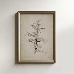 Vintage Pine Tree Print | Rustic Botanical Sketch (Digital Download)