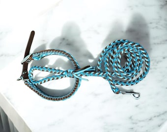 Handmade Paracord Dog Leash And Collar Braided Leash and Collar Strong Lightweight Leash Custom Pet Accessory Matching Dog Leash and Collar