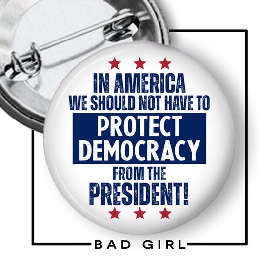 Political Protester Pinback Button: In America, Protect Democracy