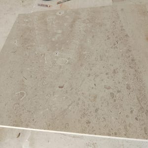 May include: A square beige stone tile featuring a natural fossilized texture with scattered organic shapes and light brown inclusions. The surface has a matte finish with visible variations in tone and pattern across the entire flat slab.