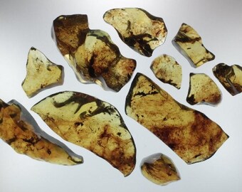 Very FINE pieces! Full Polished Mexican Amber Freeform  301g