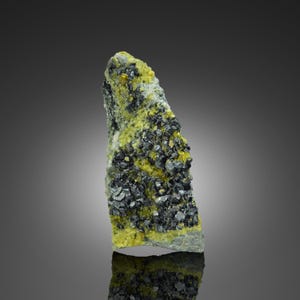 Op de afbeelding: Een mineraal specimen met een ruwe, langwerpige vorm. De steen toont een mix van kleuren, waaronder helder geel, donkergrijs en vleugjes zwart. Het oppervlak heeft een textuur, met zichtbare kristallijne structuren. Het mineraal staat tegen een gradiënt achtergrond.