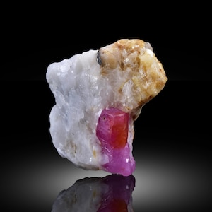 May include: A natural mineral specimen featuring a vibrant red and pink ruby crystal embedded in a matrix of white and tan rock. The ruby has a crystalline structure and reflects light. The background is black.