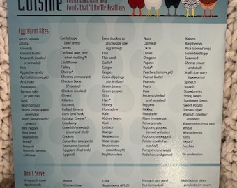 Op de afbeelding: Een kleurrijk schema met een lijst van voedingsmiddelen die kippen wel en niet mogen eten. Het schema heeft de titel "Cluck-Worthy Cuisine: Foods that Rule and Foods that'll Ruffle Feathers". Het schema is verdeeld in drie secties: "Eggcellent Bites", "Don't Serve" en "In Moderation".