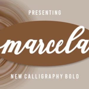 Font - Handwritten Script Font, Cricut Fonts, Calligraphy, Modern Font, Fonts for Cricut, Cursive Font, Procreate Font,