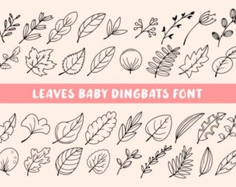 Schrift-Bundle Elegante Baby-Schriftarten Handgeschriebene Hochzeitsschrift Procreate Cricut Canva Schriftart Kommerzielle Verwendung Monoline Feminine SVG Templett Schriftarten