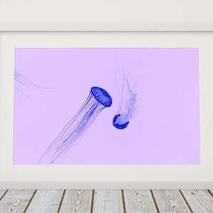Könnte beinhalten: Ein gerahmter Druck mit zwei leuchtend blauen Quallen vor einem sanften Lavendel-Hintergrund. Die Quallen haben lange, fließende Tentakel, die ein Gefühl von Bewegung erzeugen. Das Kunstwerk wird in einem weißen Rahmen präsentiert.
