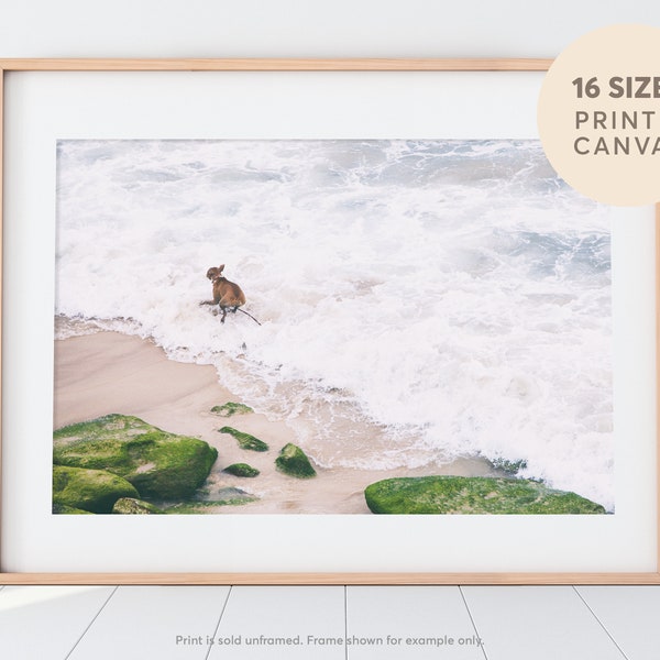 Beach Print, Dogs Prints, Surf Photography, Ocean Wall Art, Beach, Ocean Shoreline, Sun Sea and Sand, Sand Beach Poster, Aerial Beach Print
