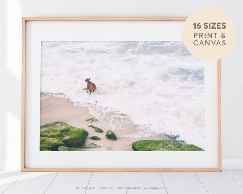 Beach Print Dogs Prints Surf Photography Ocean Wall Art Etsy
