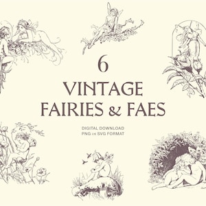 Pacchetto di illustrazioni clipart di fate d'epoca - Grafica clipart fantasy, DOWNLOAD DIGITALE immediato