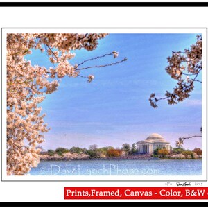 Thomas Jefferson Memorial Cherry Blossom Festival Washington DC Map Skyline Landmark Art Photography by Richmond VA Photographer Dave Lynch