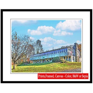 May include: A large, light blue building with a porch and a stone chimney. The building is surrounded by trees and grass. The sky is blue with white clouds.