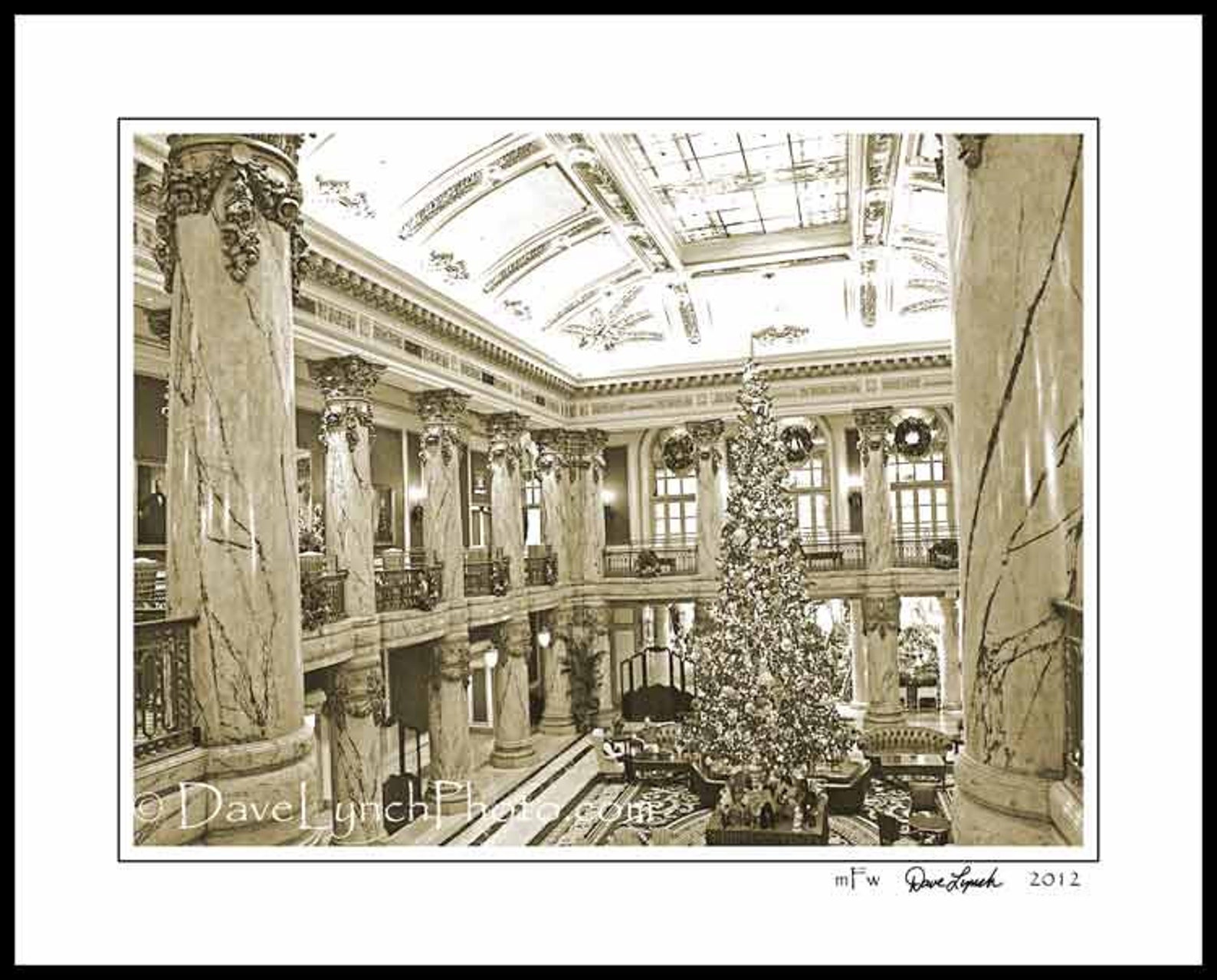 Jefferson Hotel Christmas Tree Richmond VA Prints Art Richmond Images Richmond Canvas Richmond