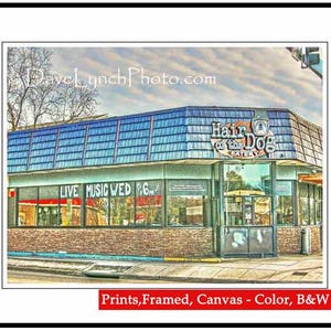 Norfolk VA Virginia Art Dominion Hair Of The Dog Norfolk VA Virginia Norfolk Framed Norfolk Canvas Art Photo Prints by Dave Lynch