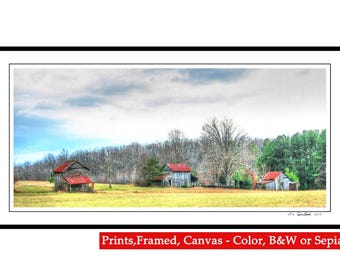 Tobacco Barns - Charlotte County VA - Farm,Barn Art,In Color,Black and White,Vintage Sepia - Fine Art Photography prints by Dave Lynch