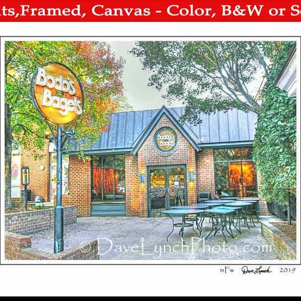 Charlottesville VA Bodos Bagels Art Print by Dave Lynch