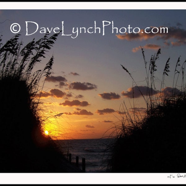 obx Sunrise Over The Dunes - OBX Hatteras Island Outer Banks Rodanthe NC - Art Photography by Dave Lynch- FREE sHIPPING on additional items