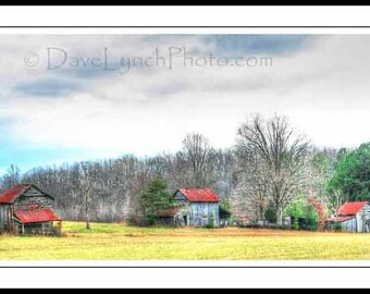 Tobacco Barns - Charlotte County VA - Farm,Barn Art,In Color,Black and White,Vintage Sepia - Fine Art Photography prints by Dave Lynch