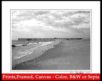 Sandbridge Beach VA Virginia - Virginia Beach - Pier - Shore Birds - Sea Gull - Black & White or Color Art Photography Prints by Dave Lynch