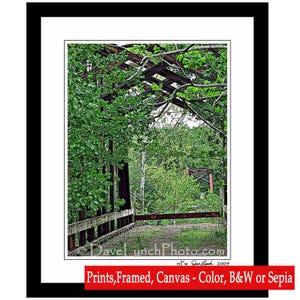 Cartersville VA Virginia Old Cartersville Bridge Map Skyline James River Cartersville Image Cumberland VA Art Photo Print by Dave Lynch