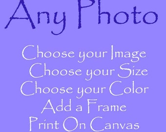 Choose Any Photo Image Number(s) And Buy Print(s) Only Or Add A Frame Or Print On Gallery Wrapped Canvas