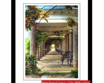 Richmond Va Art Print MAYMONT ITALIAN GARDEN RVa Richmond Virginia Photo Image Map Skyline Richmond Va Prints by Dave Lynch