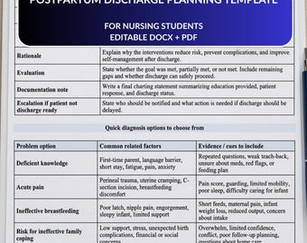 Plantilla de planificación del alta posparto para estudiantes de enfermería / Hoja de trabajo de enfermería obstétrica / Plan de cuidados materno-infantiles / PDF editable (DOCX)