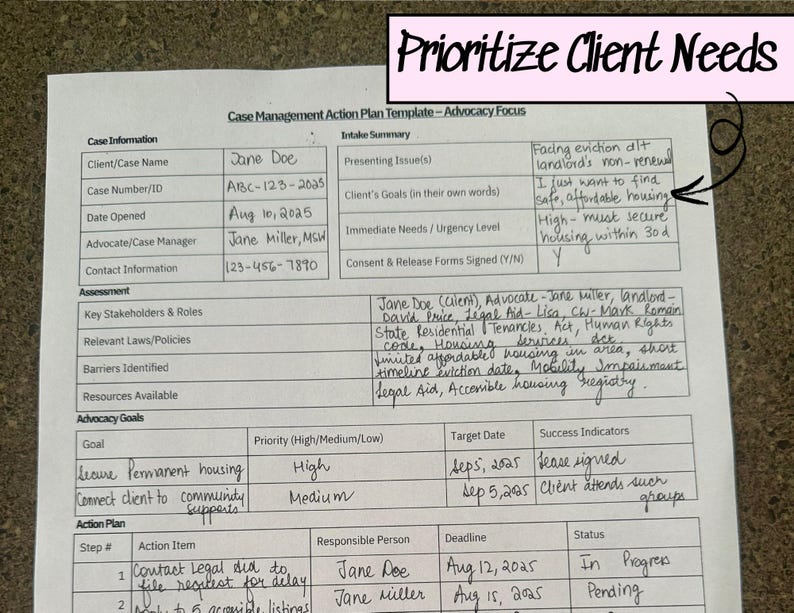 Case Management Action Plan Template, Printable Client Advocacy Planner ...