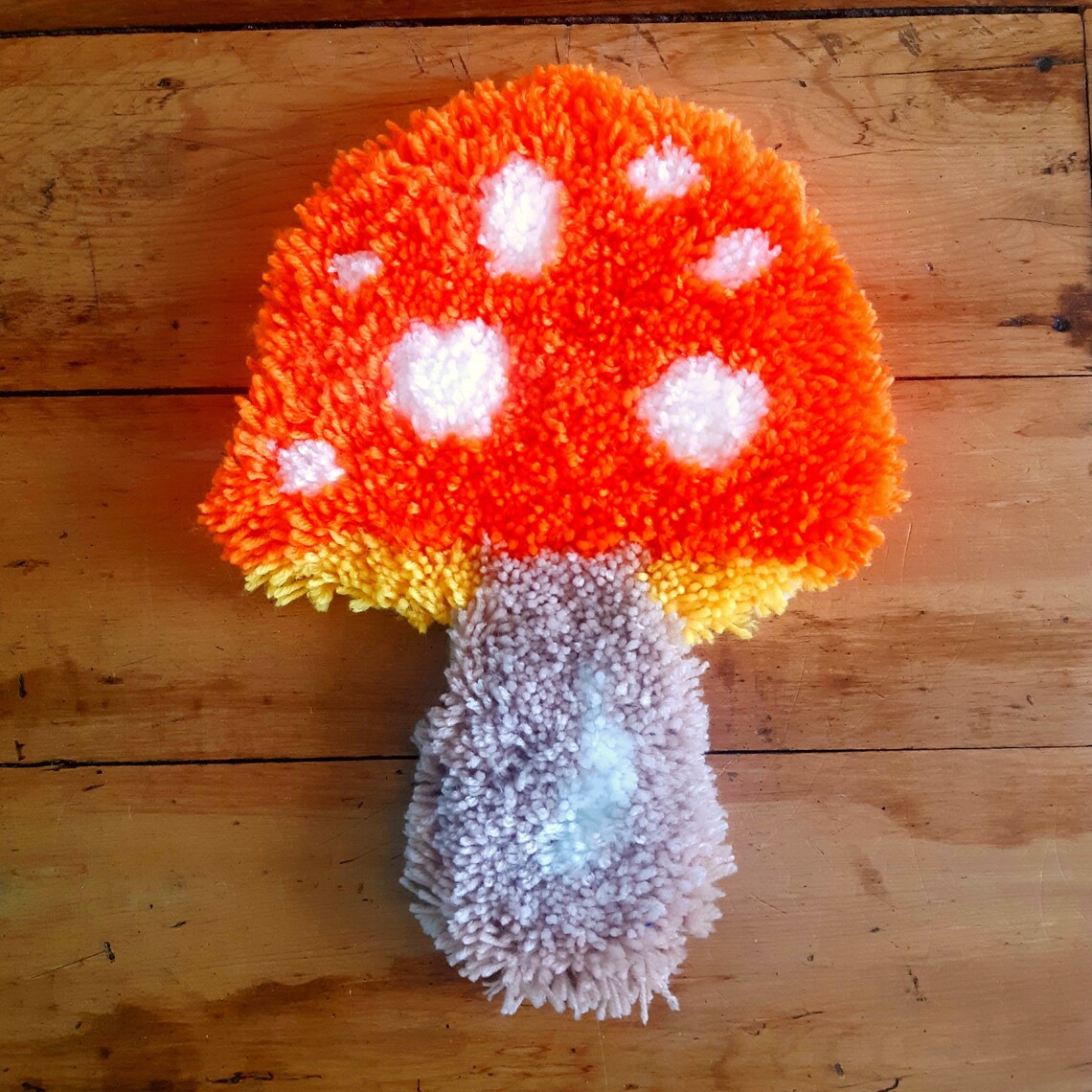 Mushroom Latch Hook Kit. Rug hooking starter kit. Includes Etsy