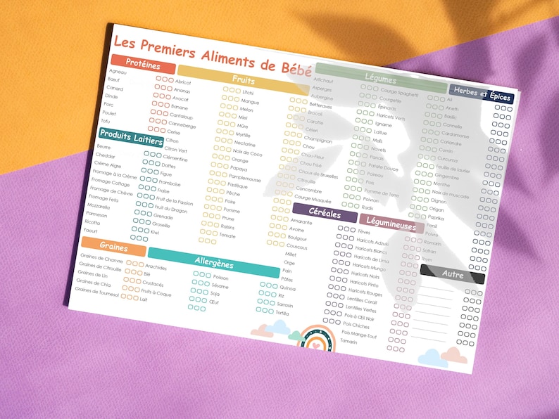 May include: A colorful chart titled "Les Premiers Aliments de B&eacute;b&eacute;" (Baby's First Foods) lists food categories: Proteins, Fruits, Vegetables, Herbs & Spices, Dairy, Grains, Legumes, Allergens, and Other. A rainbow and clouds decorate the bottom.
