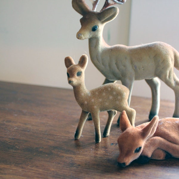 Familie beflockt Hirsche